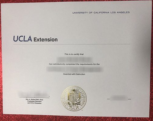 Read more about the article How to buy a UCLA diploma on the Internet?