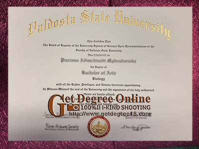 Read more about the article Where to Make a Valdosta State University Fake Diploma, Buy VSU fake diploma