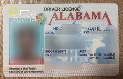 Alabama fake driver's license