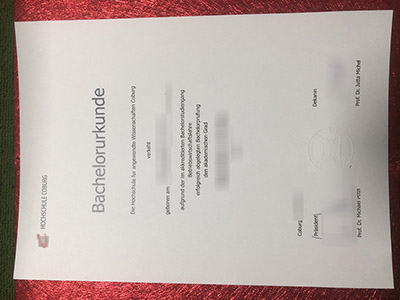Coburg University of Applied Sciences fake diploma.