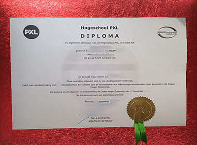 Read more about the article Benefits of having a fake Hogeschool PXL diploma
