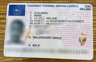 Buy IRL fake Driver's License
