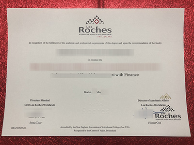 Read more about the article How to get a fake Les Roches diploma.