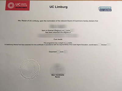 Read more about the article Why you should get a fake UC Leuven-Limburg diploma