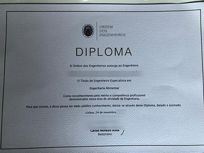 Read more about the article Get the highest quality Ordem dos Engenheiros Fake Diploma online.