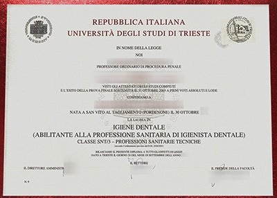 Read more about the article Why you should get a Fake University of Trieste Diploma