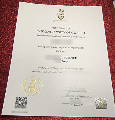 Read more about the article The Most Efficient Techniques for You to Buy University of Guelph Diploma