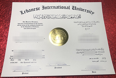 Read more about the article Why you should Get a Lebanese International University (LIU) Diploma