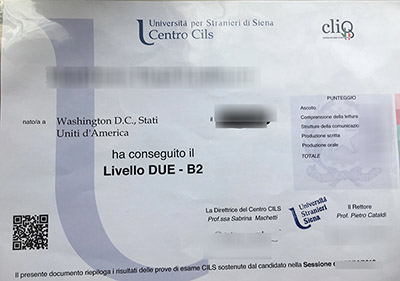 CILS Livello 2 - B2 Certificate