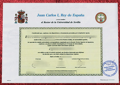 Read more about the article How to Buy Universidad de Sevilla Diploma Quick and Easy