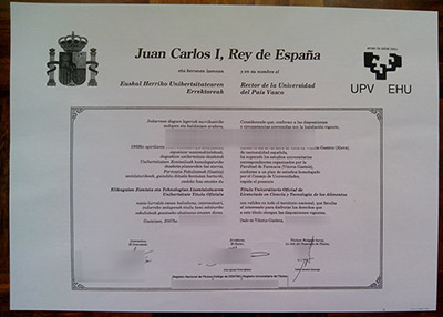 Read more about the article The Fool-proof Way to Buy Universidad del País Vasco Diploma