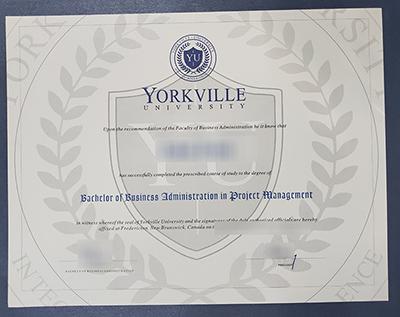 Read more about the article Superb Tips about Buy Yorkville University Diploma